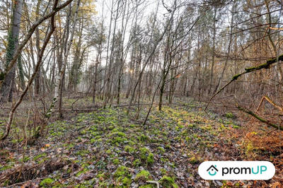 Terrain de loisirs - 1 595 m²