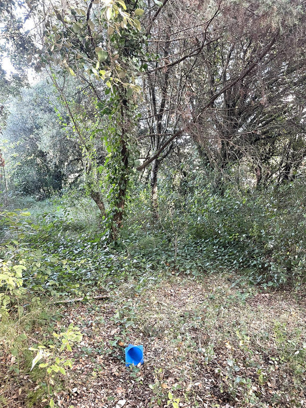 Terrain constructible - 400 m²