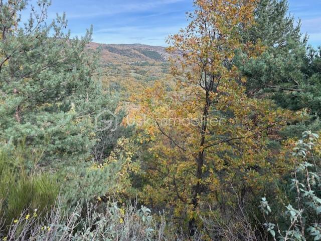 Terrain de loisirs - 10 850 m²