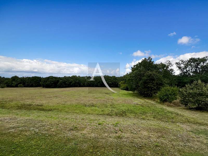 Maison - 235 m² - 7 pièces