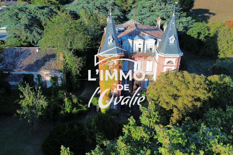 Château - 424 m² - 7 pièces