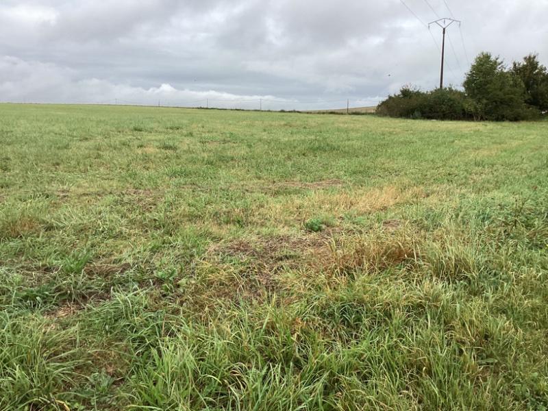 Terrain constructible - 1 416 m²