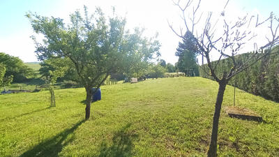 Terrain - 1 670 m²