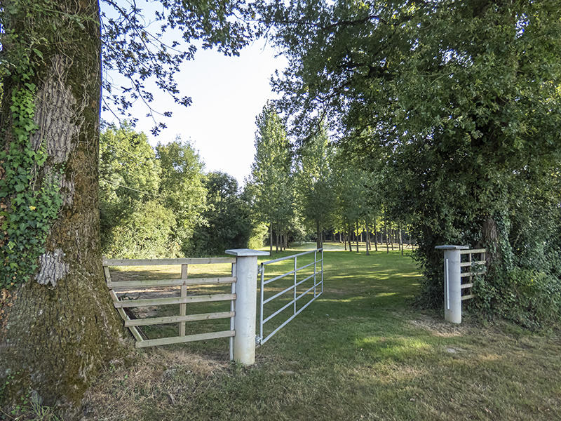 Terrain de loisirs - 13 512 m²