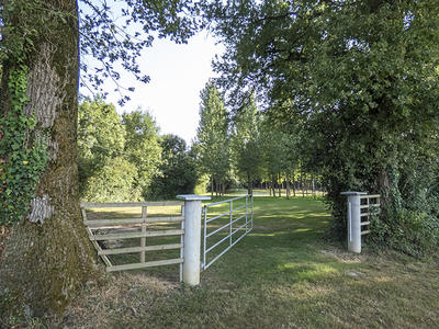 Terrain de loisirs - 13 512 m²