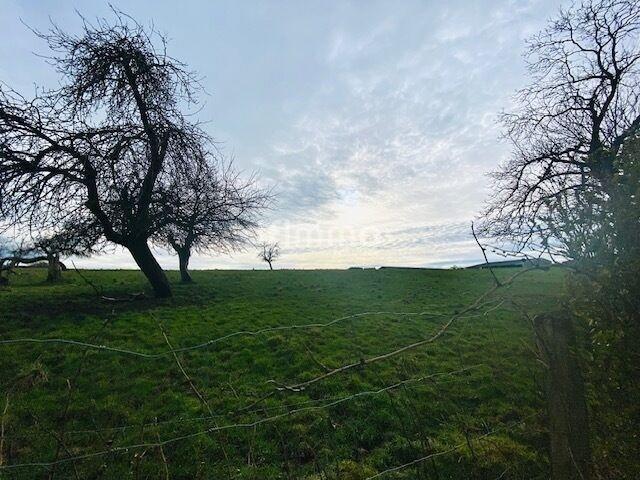 Ferme - 164 m² - 7 pièces