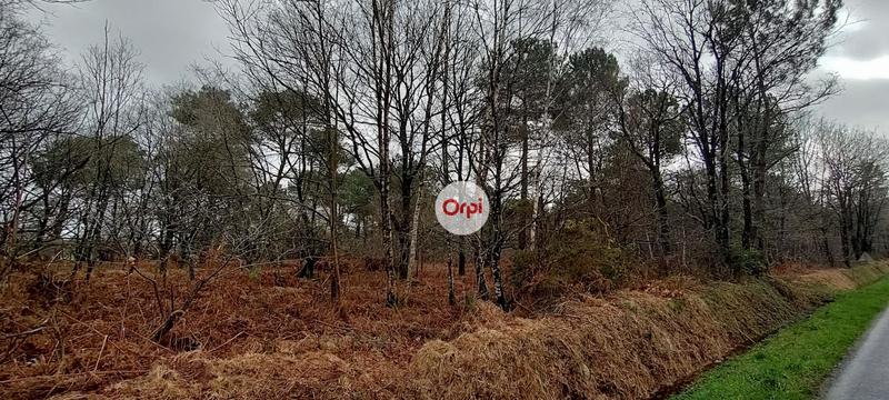 Terrain de loisirs - 49 615 m²