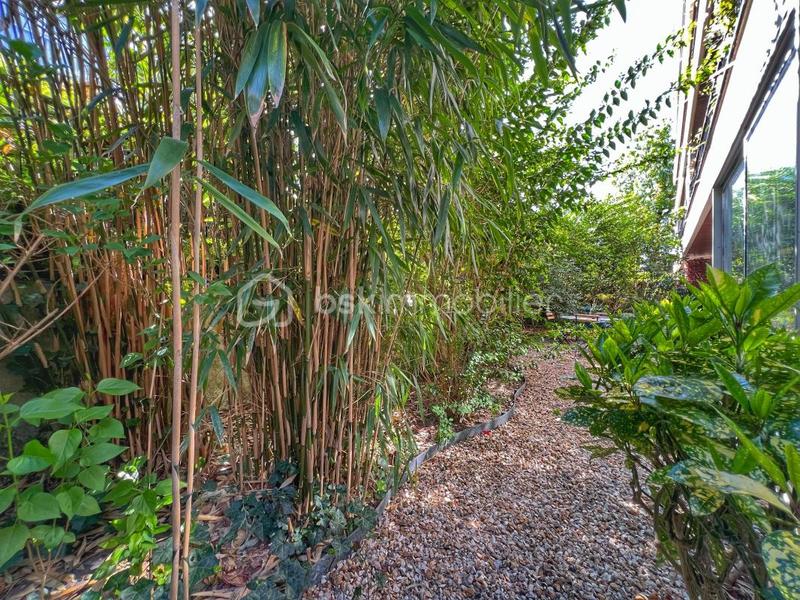 Appartement - 110 m² - 5 pièces