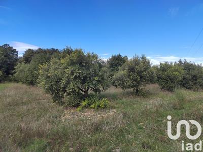 Terrain - 4 300 m²