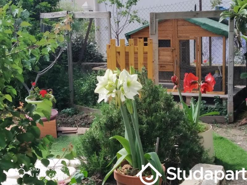 Chambre - 15 m² - 1 pièce