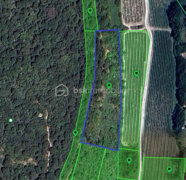 Terrain agricole - 7 256 m²