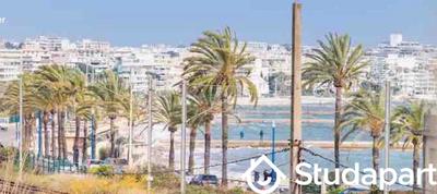 Appartement - 35 m² - 2 pièces