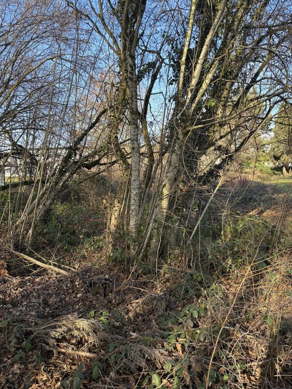 Terrain constructible - 968 m²