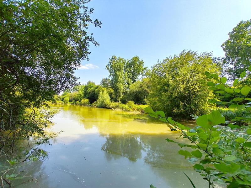 Maison - 264 m² - 8 pièces