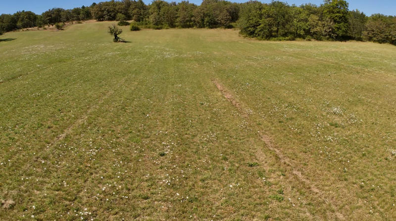 Terrain - 21 356 m²