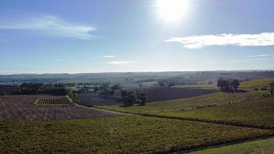 Maison en pierre - 159 m² - 7 pièces