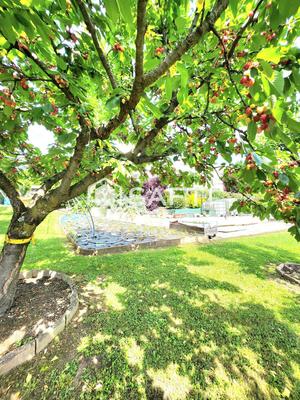 Villa - 328 m² - 7 pièces