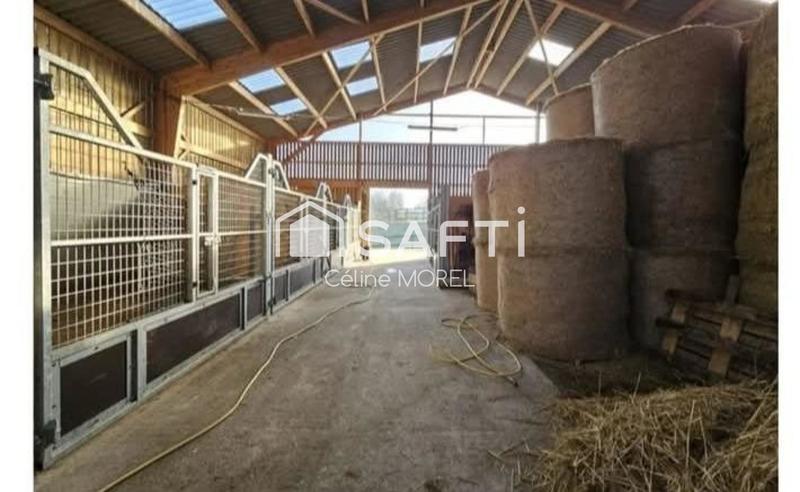 Maison - 195 m² - 11 pièces