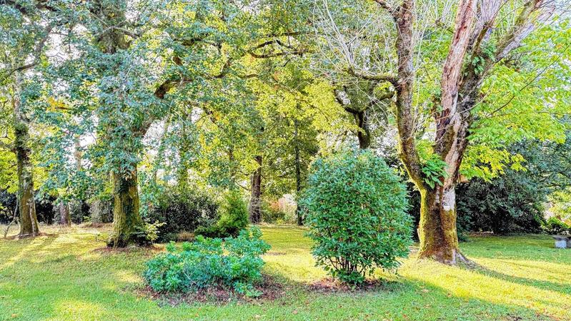 Propriété - 500 m² - 22 pièces