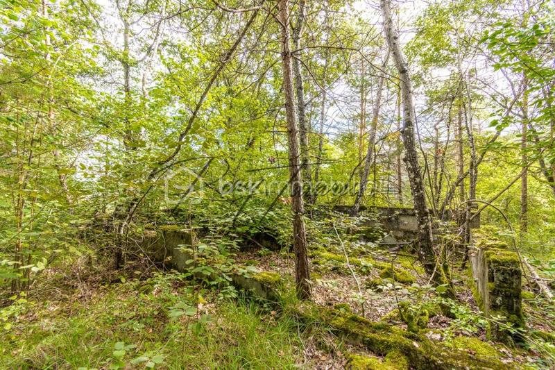 Forêt - 9 702 m²