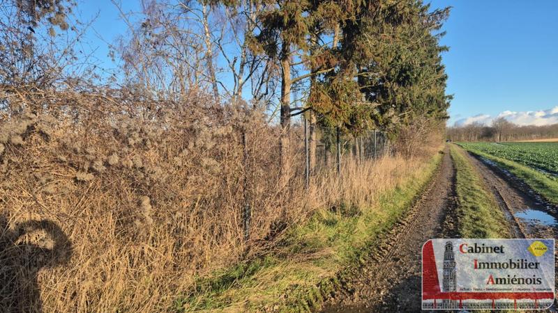 Terrain de loisirs - 6 490 m²