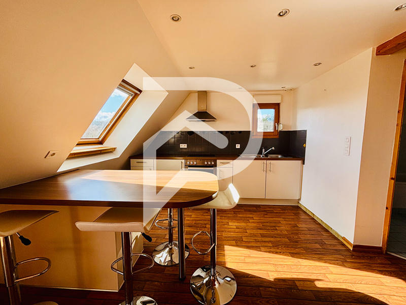 Appartement - 53 m² - 2 pièces