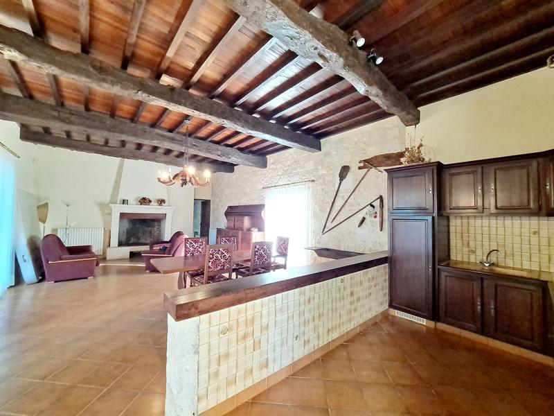 Château - 570 m² - 12 pièces