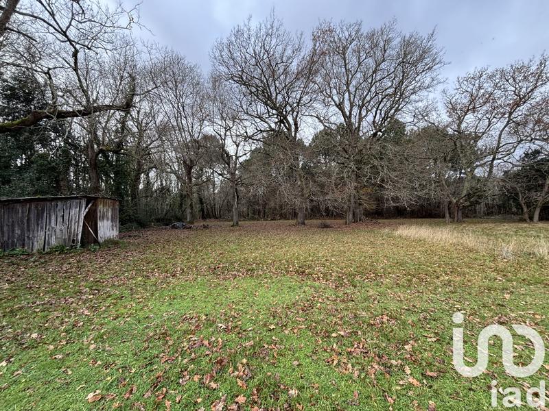 Maison de campagne - 100 m² - 4 pièces