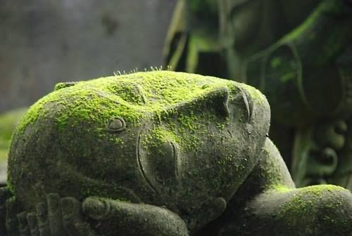 Elsa Prohom - Cabinet Terra Humana