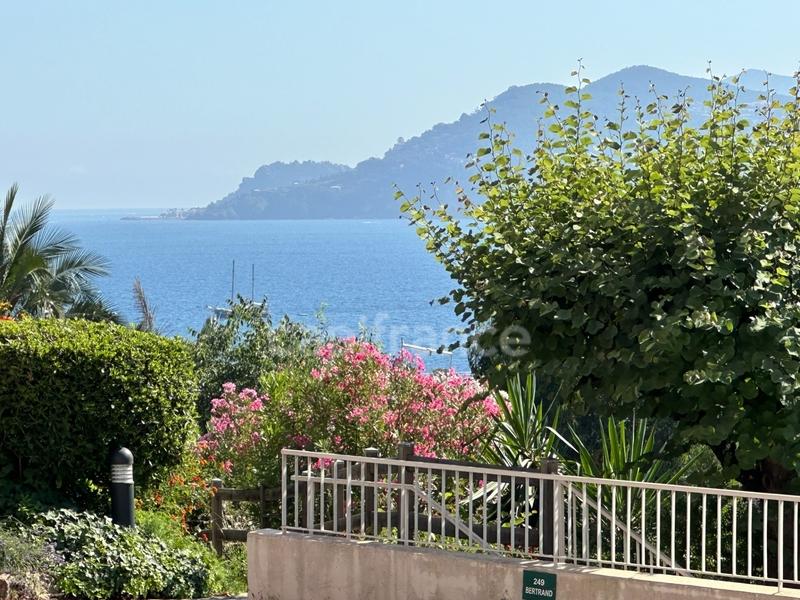 Appartement - 52 m² - 2 pièces