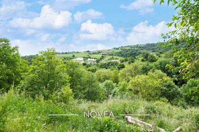 Ferme - 305 m² - 10 pièces
