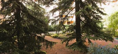 Appartement - 3 pièces