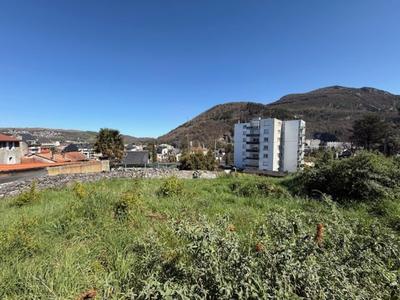 Terrain constructible - 3 593 m²
