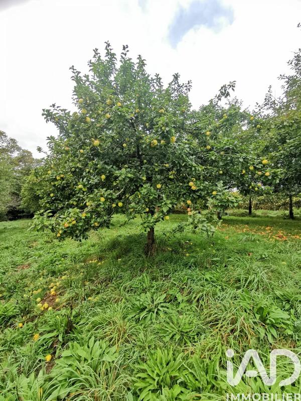 Terrain agricole - 15 000 m²