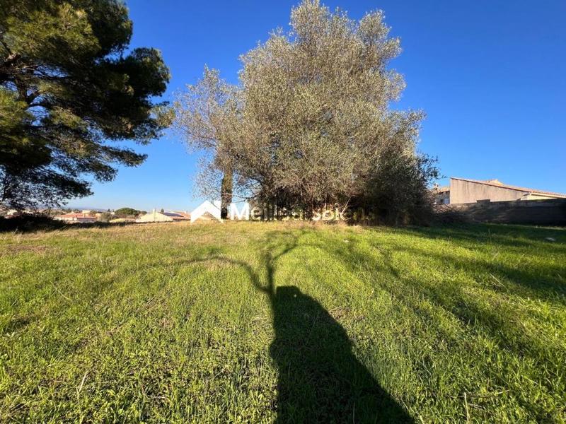 Terrain constructible - 1 030 m²