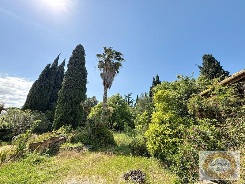 Maison - 500 m² - 11 pièces