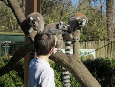Stage &quot;mini-soigneur&quot;