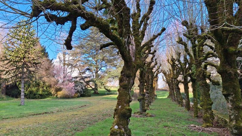 Manoir - 800 m² - 20 pièces