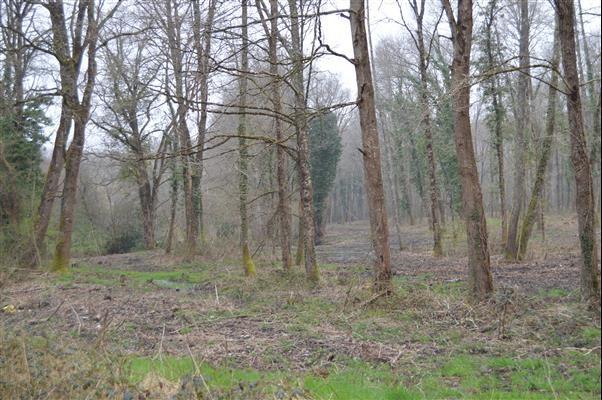 Terrain de loisirs - 22 000 m²