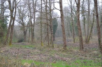 Terrain de loisirs - 22 000 m²