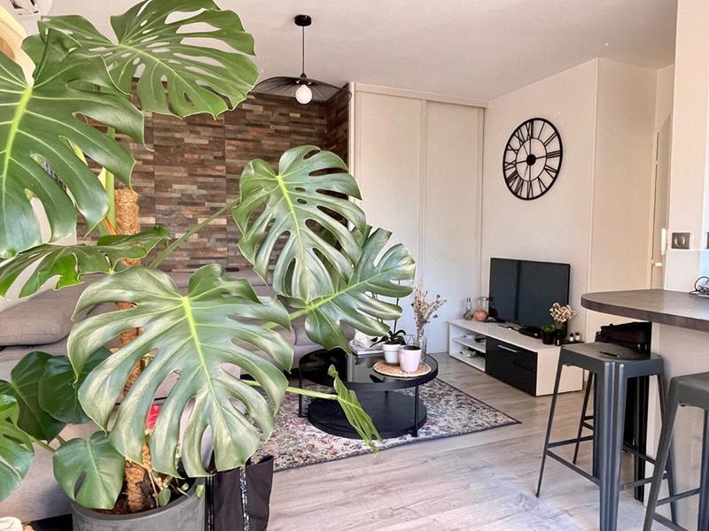 Appartement - 32 m² - 2 pièces