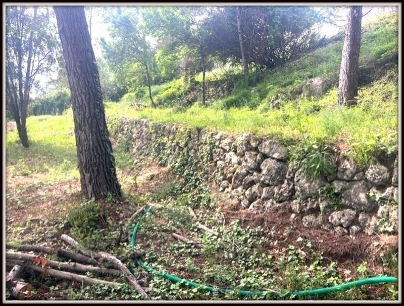 Terrain constructible - 1 557 m²