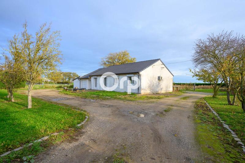 Maison - 125 m² - 4 pièces