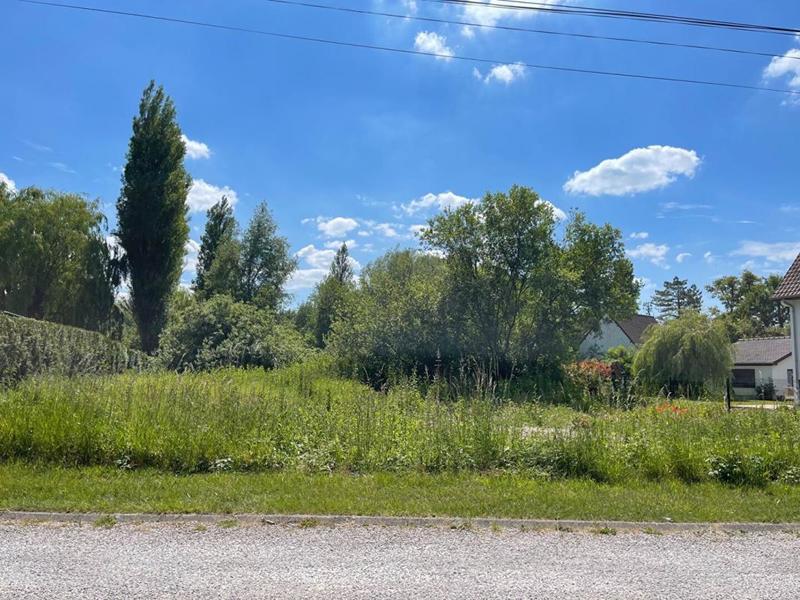 Terrain constructible - 1 295 m²
