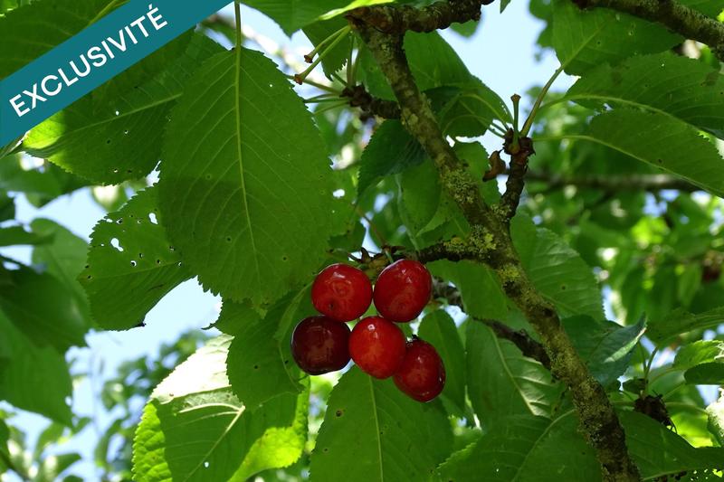 Maison - 132 m² - 5 pièces