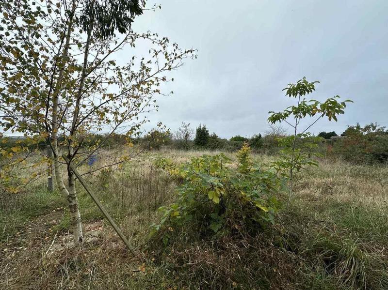 Maison - 133 m² - 7 pièces