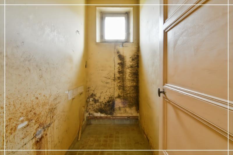 Maison - 66 m² - 3 pièces