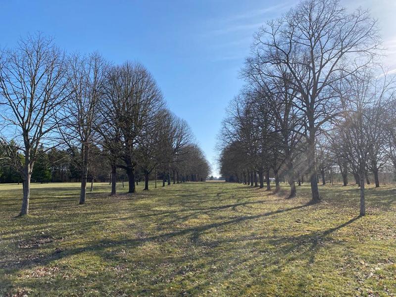 Propriété - 480 m² - 15 pièces