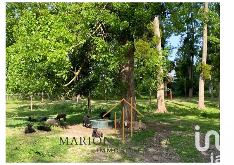 Appartement - 98 m² - 5 pièces