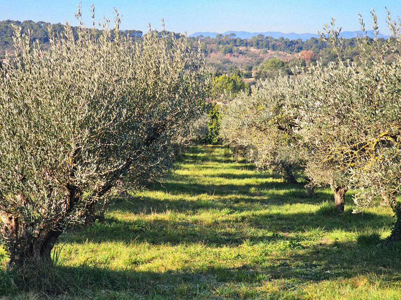 Mas - 233 m² - 8 pièces